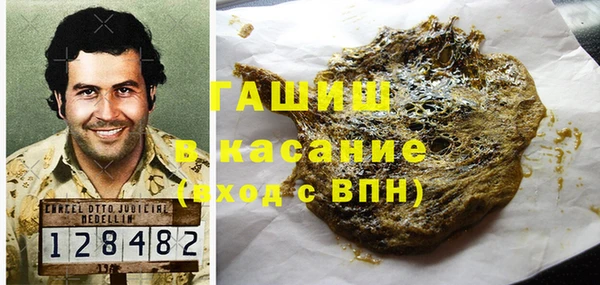 индика Алексин