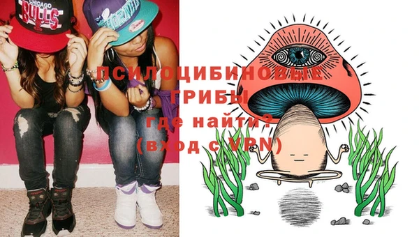 индика Алексин