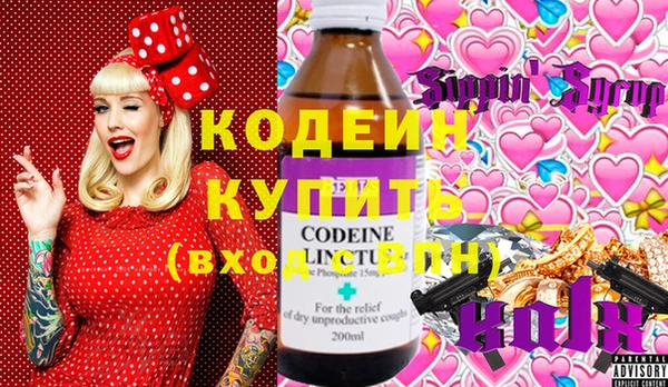 хмурый Алзамай
