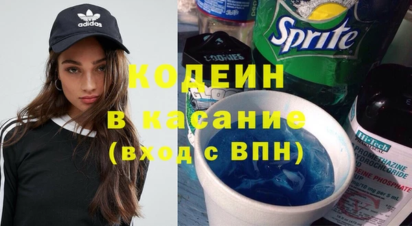 хмурый Алзамай