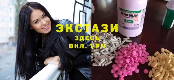 индика Алексин