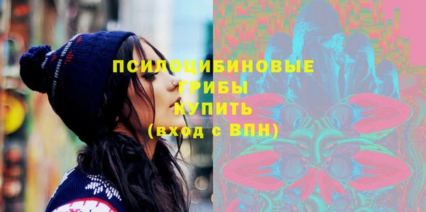 хмурый Алзамай