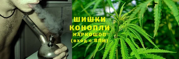 ГАЛЛЮЦИНОГЕННЫЕ ГРИБЫ Алексеевка