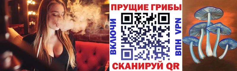 где можно купить   Харовск  Галлюциногенные грибы ЛСД 